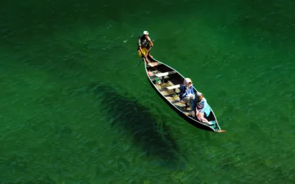 justwebsitedesigning.com Glimpses