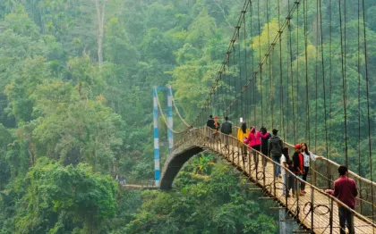 justwebsitedesigning.com Glimpses