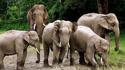 justwebsitedesigning.com Glimpses